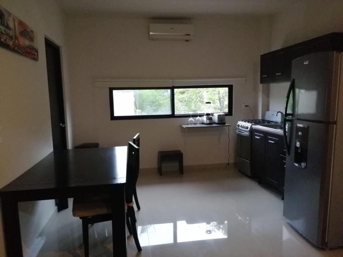 Calle 22 By 770 Apartments 普拉亚卡门 外观 照片